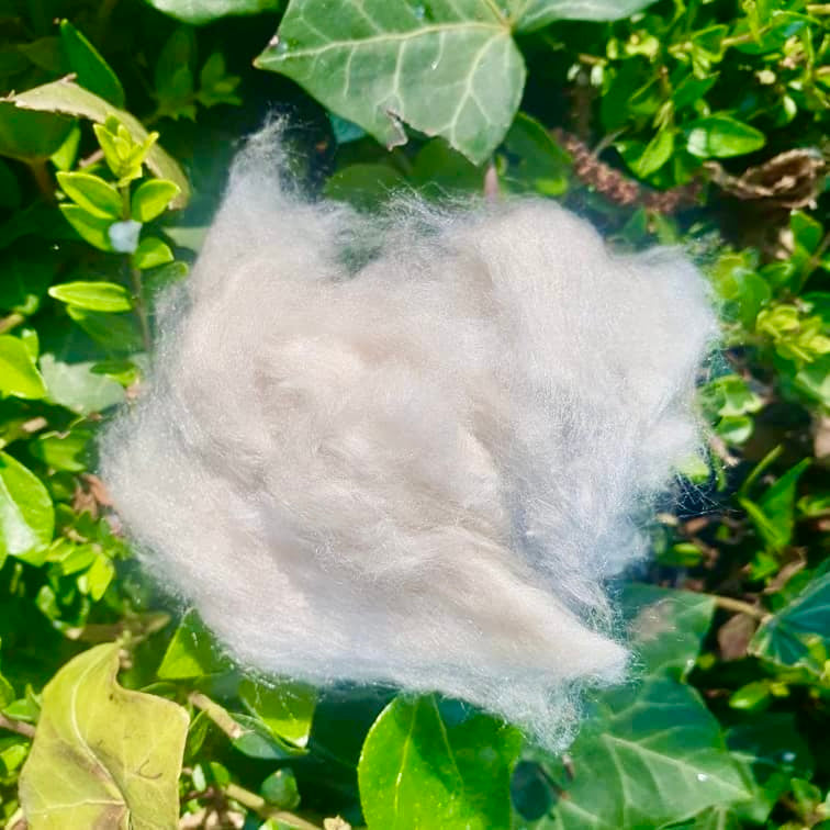 Upavon Upsilk Dubbing Light Cahill (Ltd Edition) - Upavon Fly Fishing