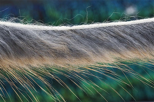 Troutline - Troutline Muskrat Zonker Strips 3mm - Upavon Fly Fishing