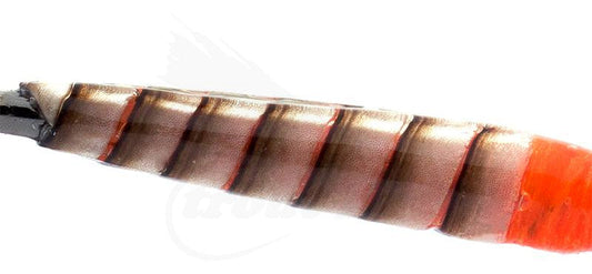 Troutline Hand Selected Stripped Peacock Quill