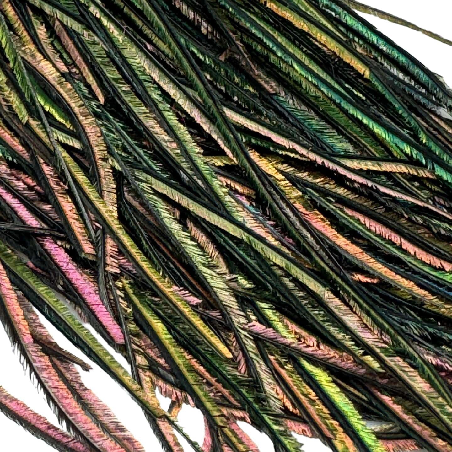 Upavon Premium Peacock Herl - Upavon Fly Fishing