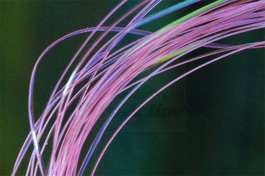 Troutline UV Micro Ribbing Quill