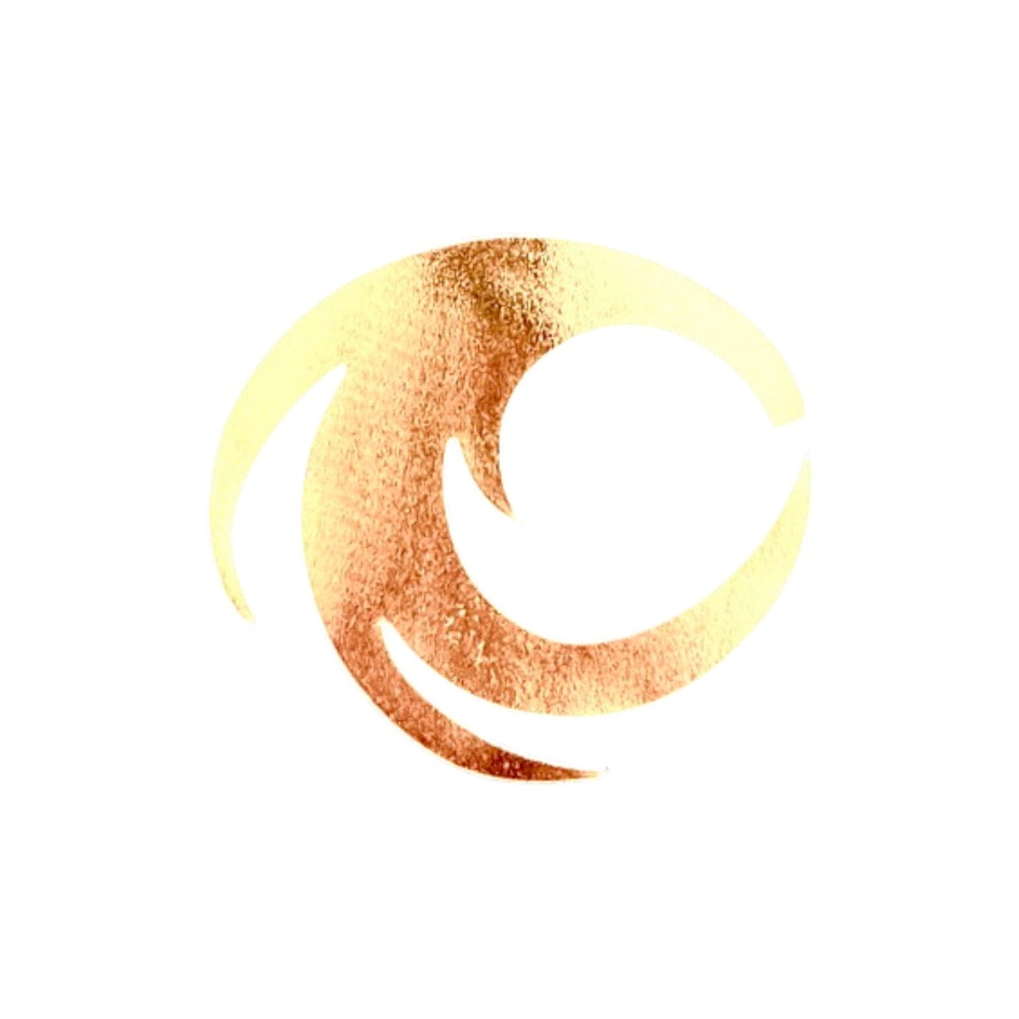 Pacchiarini’s Wide Dragon Tails