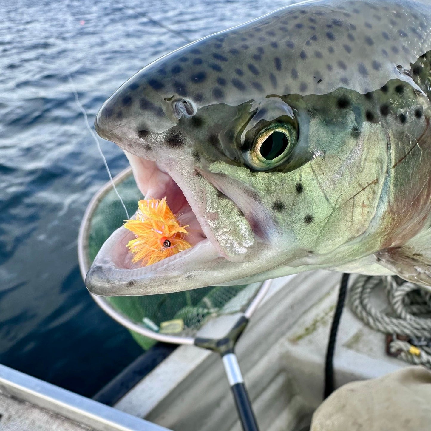 Upavon Triple Tone UV Fritz - Upavon Fly Fishing