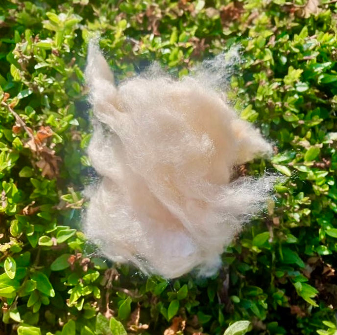 Upavon Upsilk Dubbing March Brown (Ltd Edition) - Upavon Fly Fishing