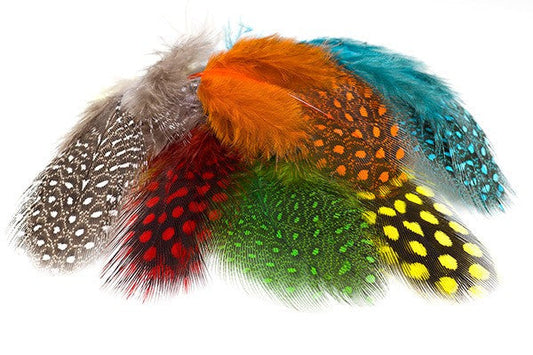 Troutline Selected Guinea Fowl Feathers - Wading Waters Ltd
