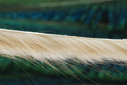 Troutline Muskrat Zonker Strips 3mm