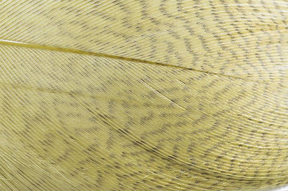 Troutline Premium Mallard Barred Feathers
