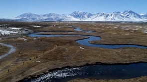 Solarez Bone Dry PLUS Ultra Thin UV Resin