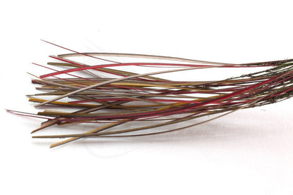 Troutline Hand Selected Stripped Peacock Quill - Upavon Fly Fishing