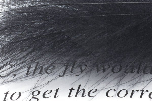 Troutline - Troutline CDC Dyed Feathers Tier's Pack - Upavon Fly Fishing