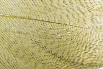 Troutline - Troutline Premium Mallard Barred Feathers - Upavon Fly Fishing
