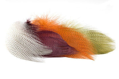 Troutline - Troutline Premium Mallard Barred Feathers - Upavon Fly Fishing