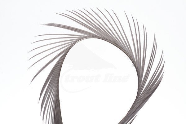 Troutline - Troutline Selected Goose Biots - Upavon Fly Fishing