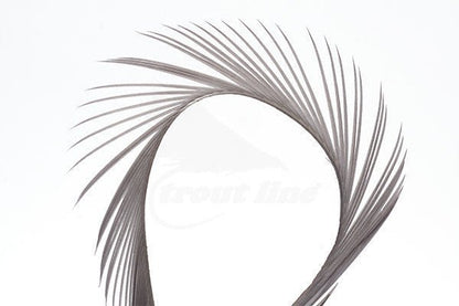 Troutline - Troutline Selected Goose Biots - Upavon Fly Fishing