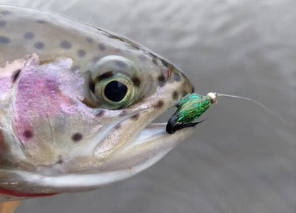 Upavon Green Flash Dragonfly Straggle Hackle - Upavon Fly Fishing