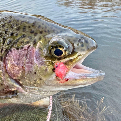 Upavon Atomic Egg Chenille - Upavon Fly Fishing