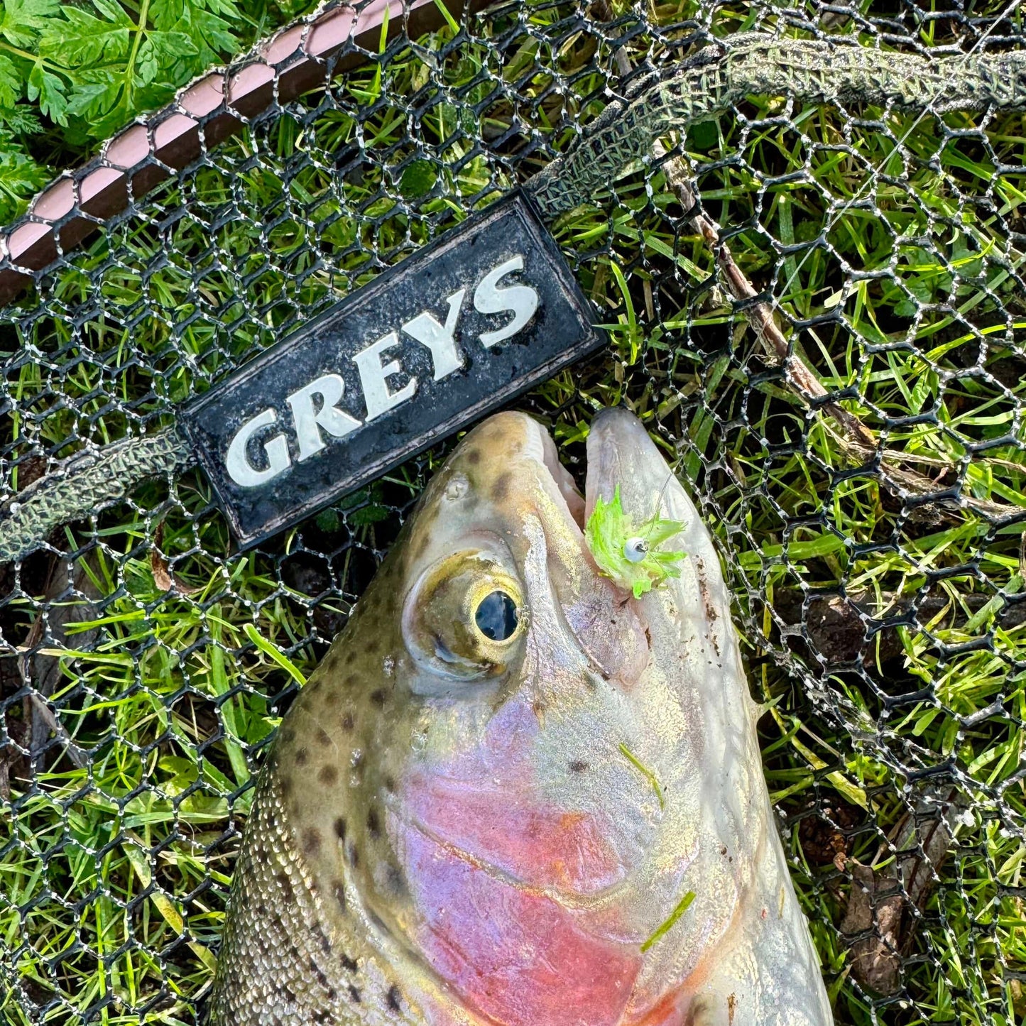 Upavon Atomic Egg Chenille - Upavon Fly Fishing