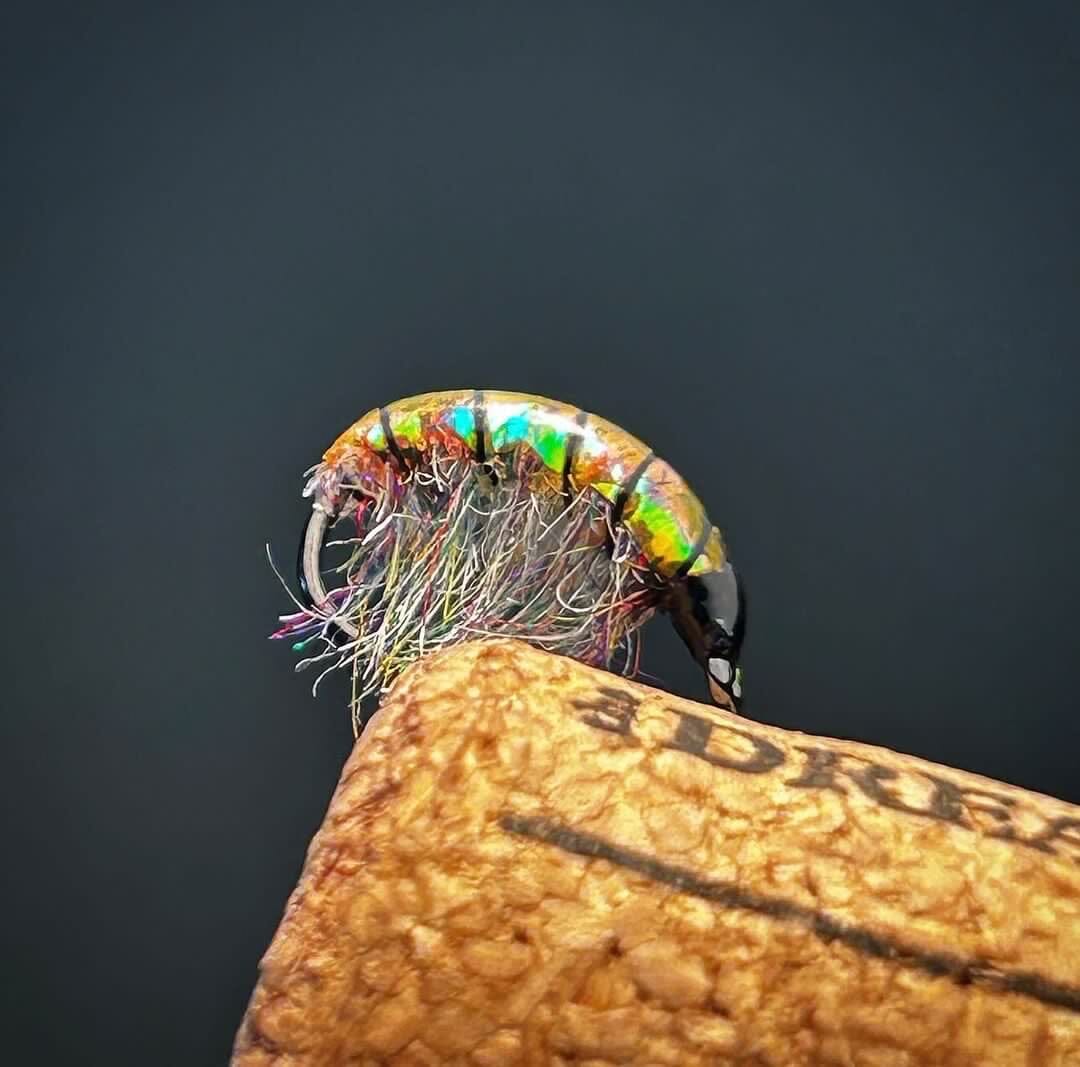 Upavon XO Shrimp Back - Upavon Fly Fishing