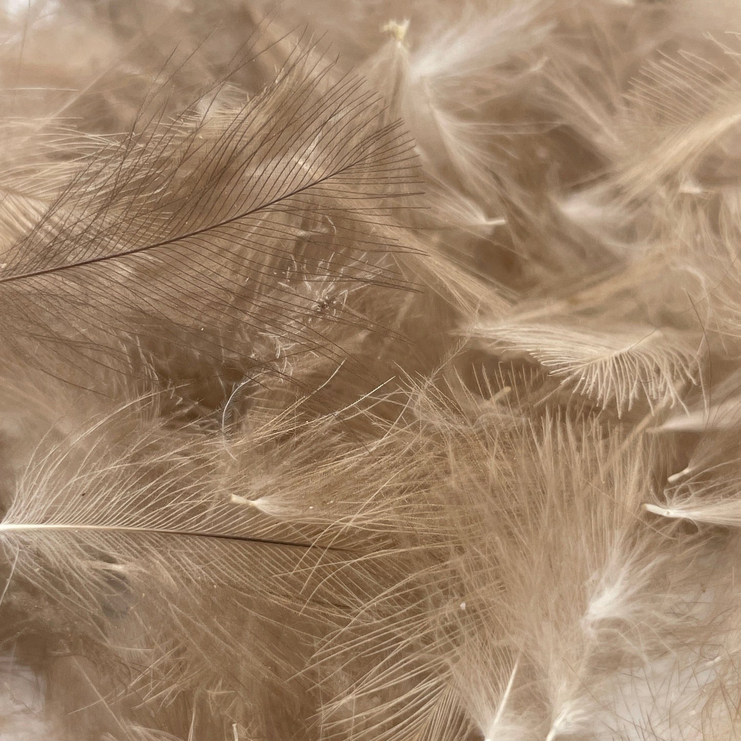 Upavon Natural Grey CDC 1 Gram Pack - Upavon Fly Fishing