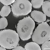 Upavon Hollow Dub - Upavon Fly Fishing