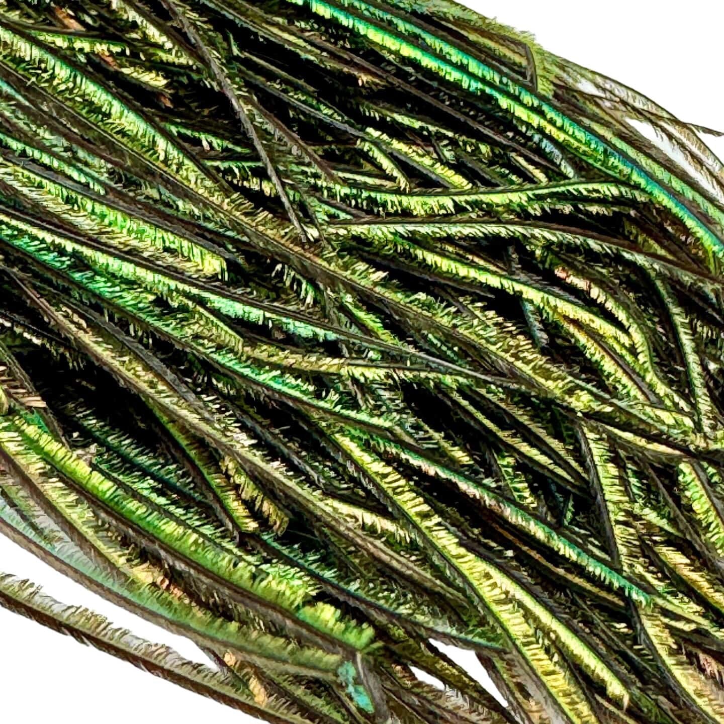 Upavon Premium Peacock Herl - Upavon Fly Fishing