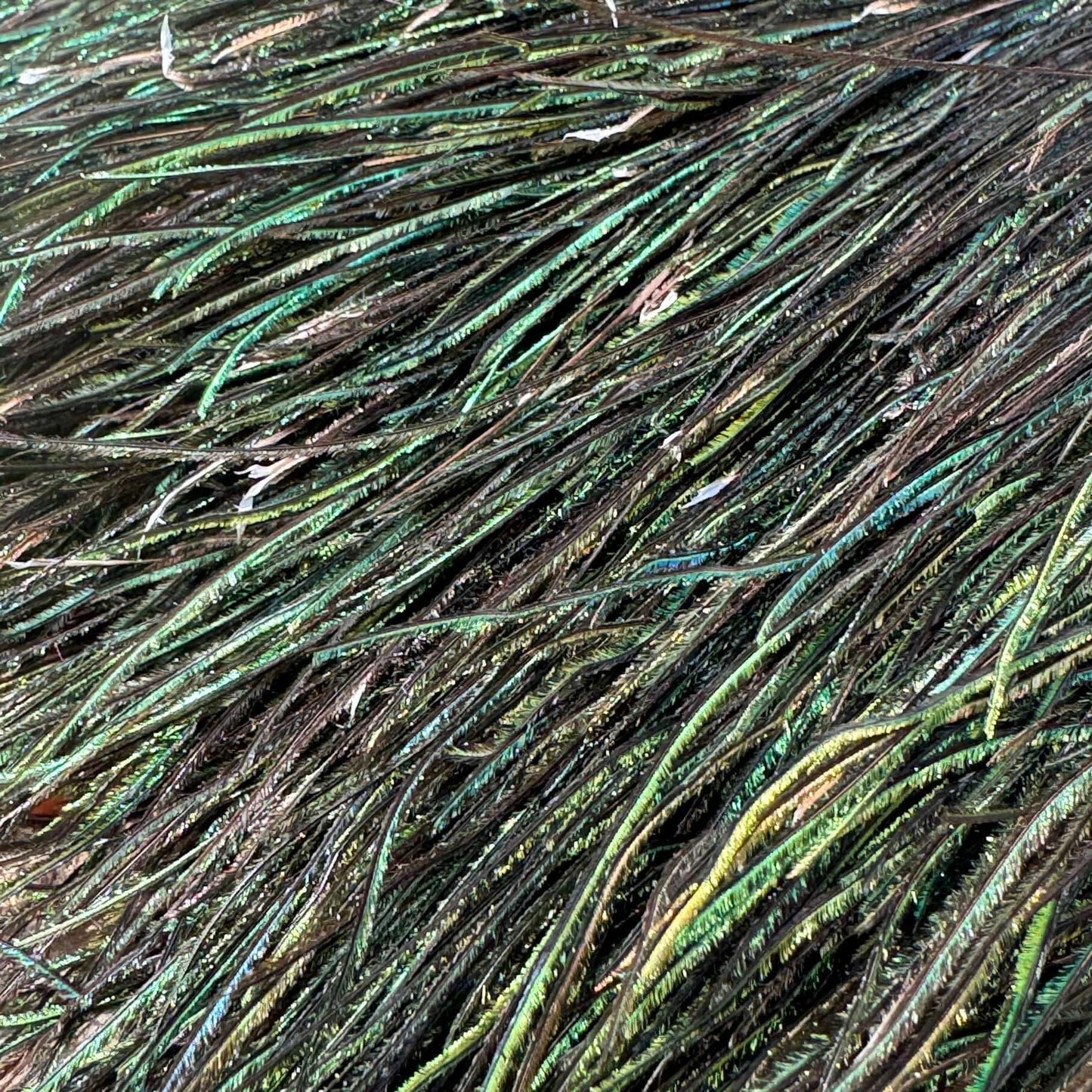 Upavon Premium Peacock Herl - Upavon Fly Fishing