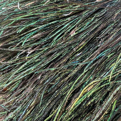 Upavon Premium Peacock Herl - Upavon Fly Fishing