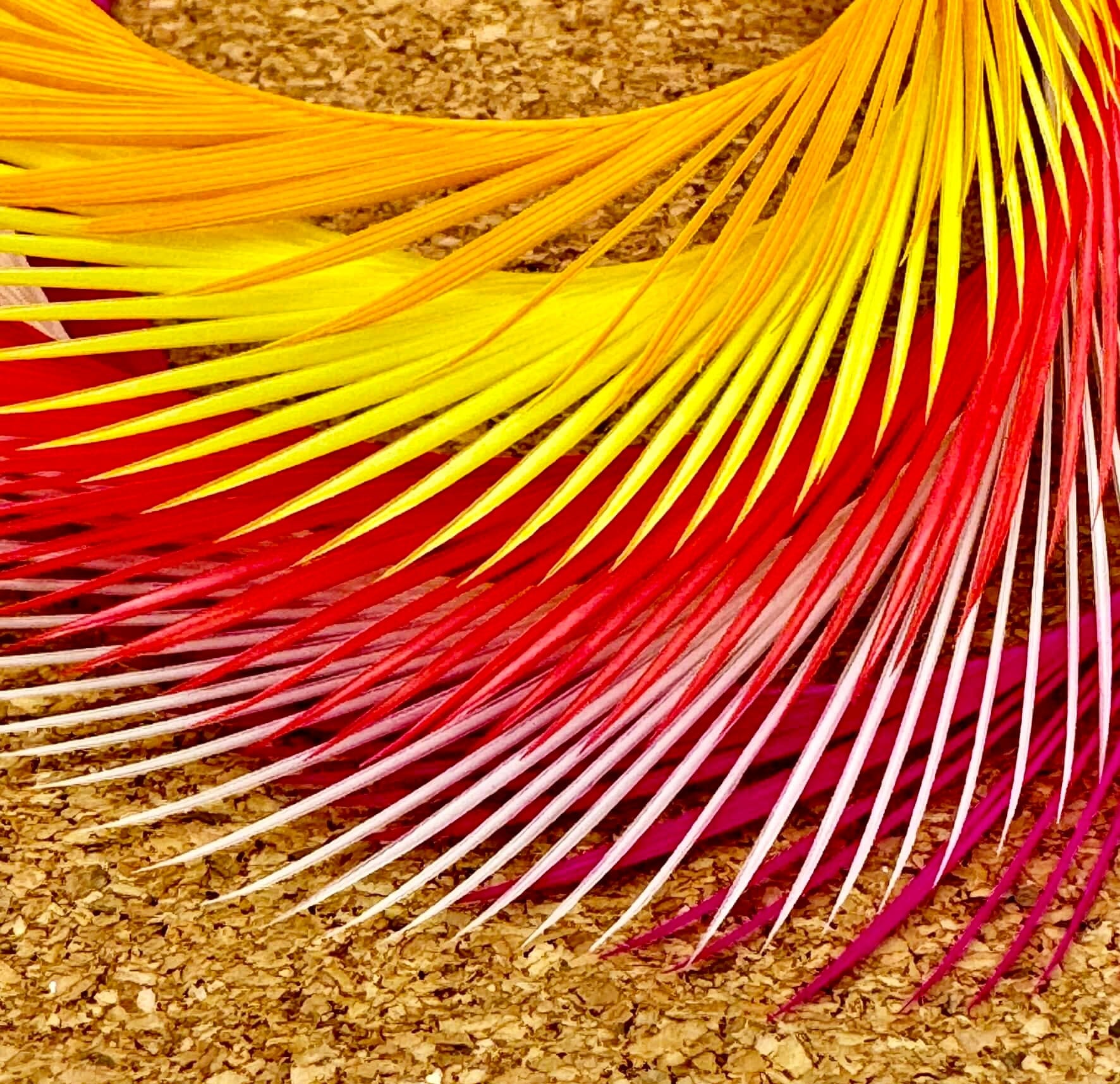 Upavon Premium Goose Biots - Upavon Fly Fishing