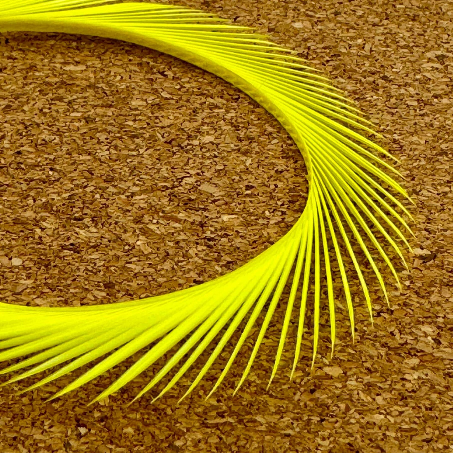 Upavon Premium Goose Biots - Upavon Fly Fishing