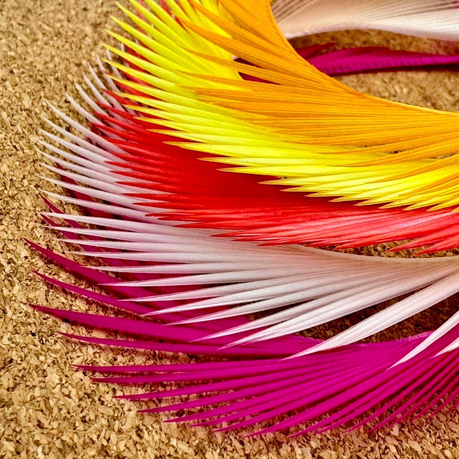 Upavon Premium Goose Biots - Upavon Fly Fishing