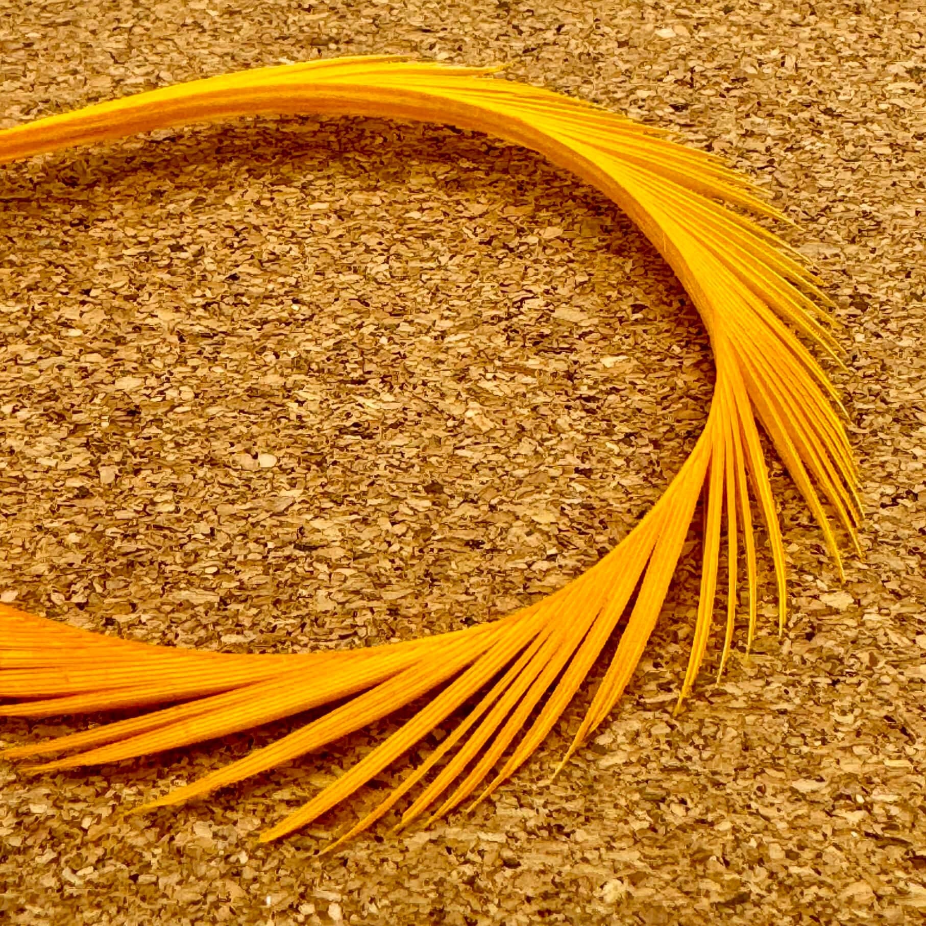 Upavon Premium Goose Biots - Upavon Fly Fishing