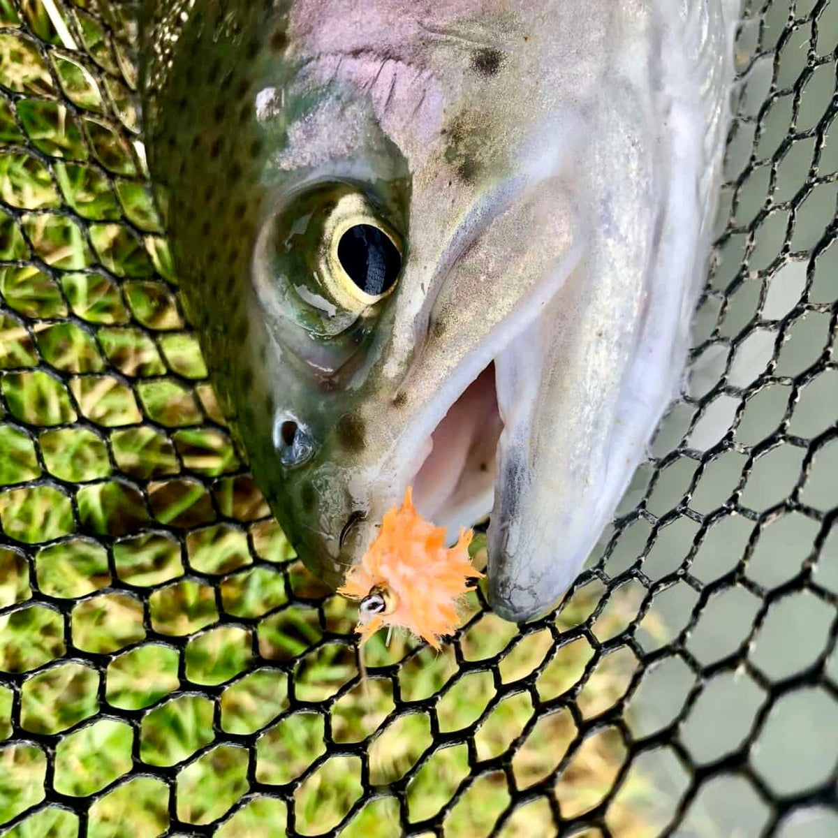 UPAVON FLY FISHING - Upavon Atomic Egg Chenille - Upavon Fly Fishing