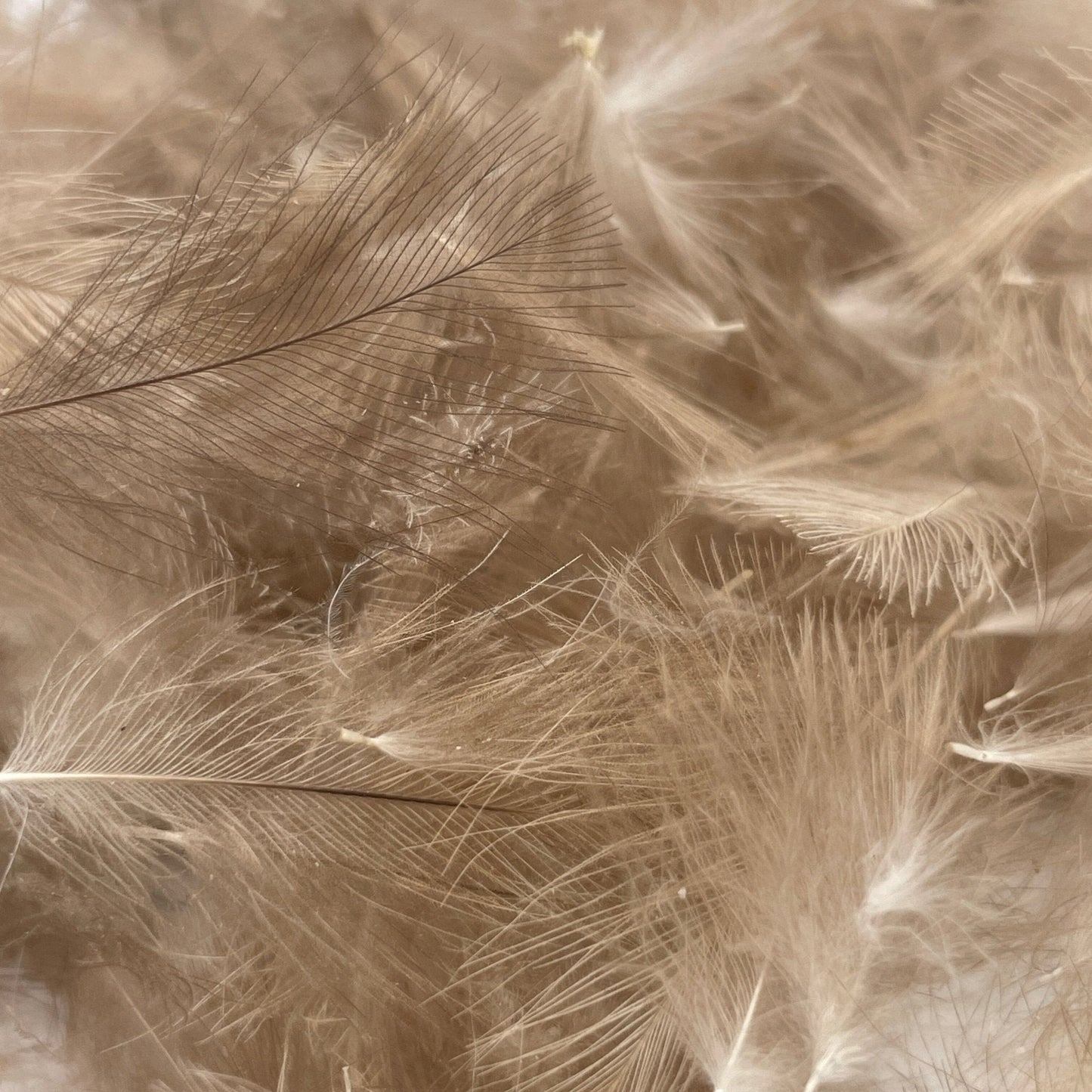 UPAVON FLY FISHING - Upavon Natural Grey CDC 1 Gram Pack - Upavon Fly Fishing