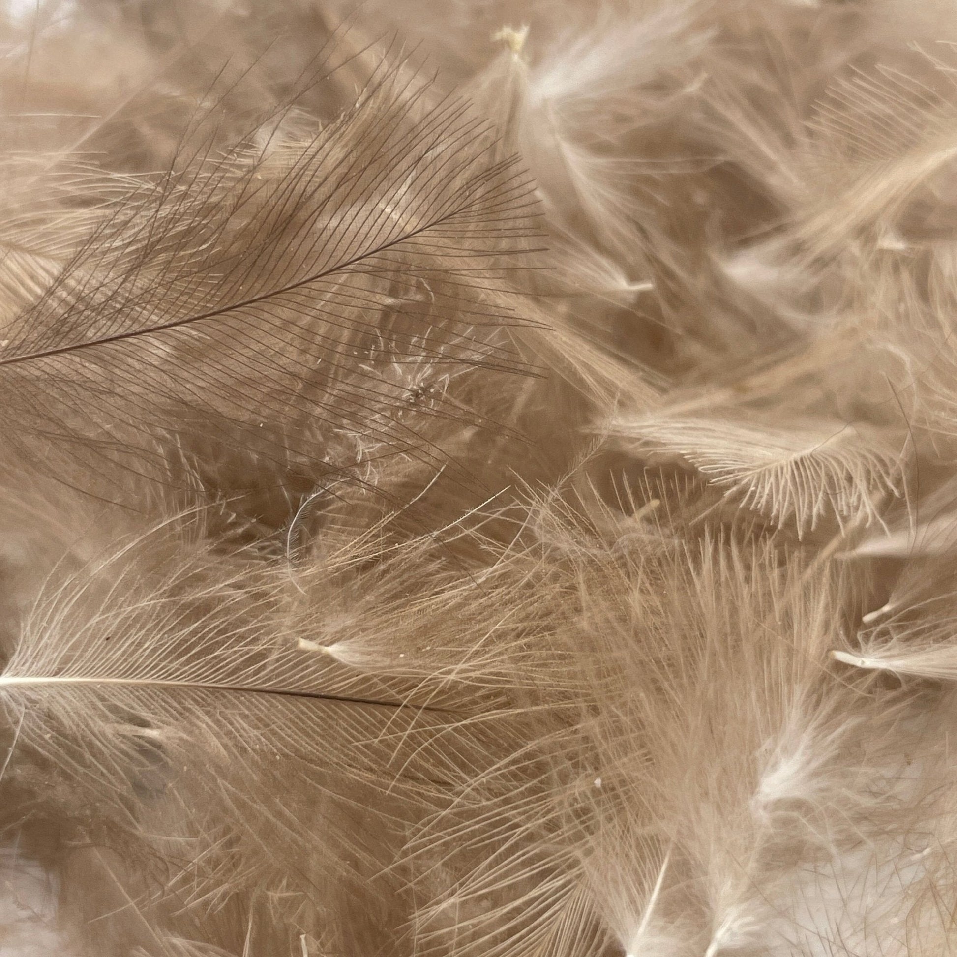 UPAVON FLY FISHING - Upavon Natural Grey CDC 1 Gram Pack - Upavon Fly Fishing