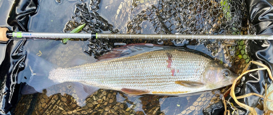 Upavon Rod Ruler & Fish Measures