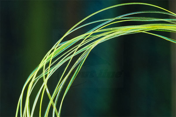 Troutline UV Micro Ribbing Quill - Upavon Fly Fishing